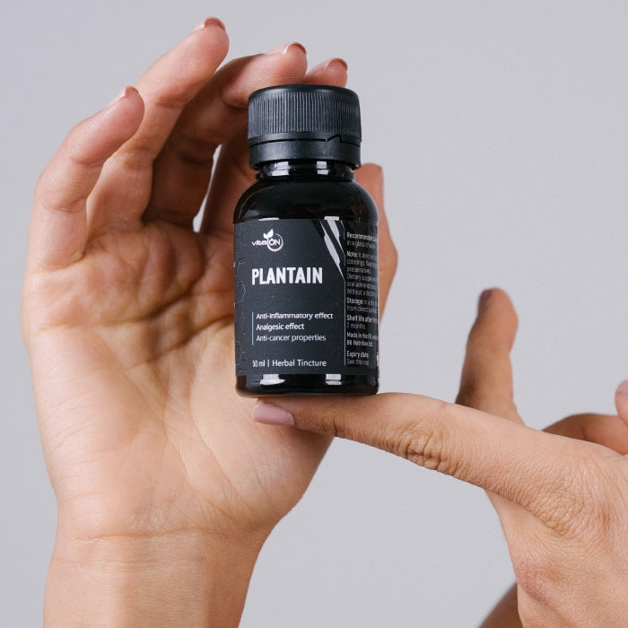 Живовлякът предпазва черния дроб от токсини