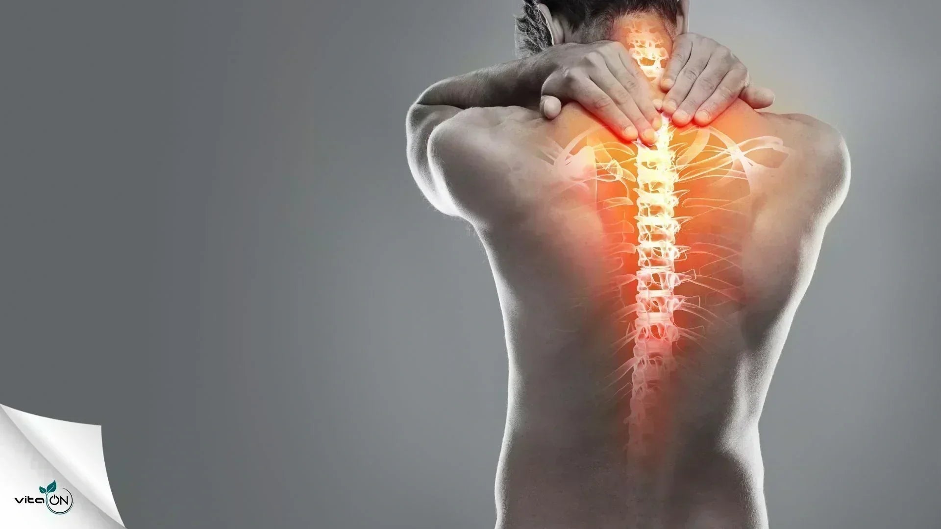  14 ефективни упражнения за болки в  кръста