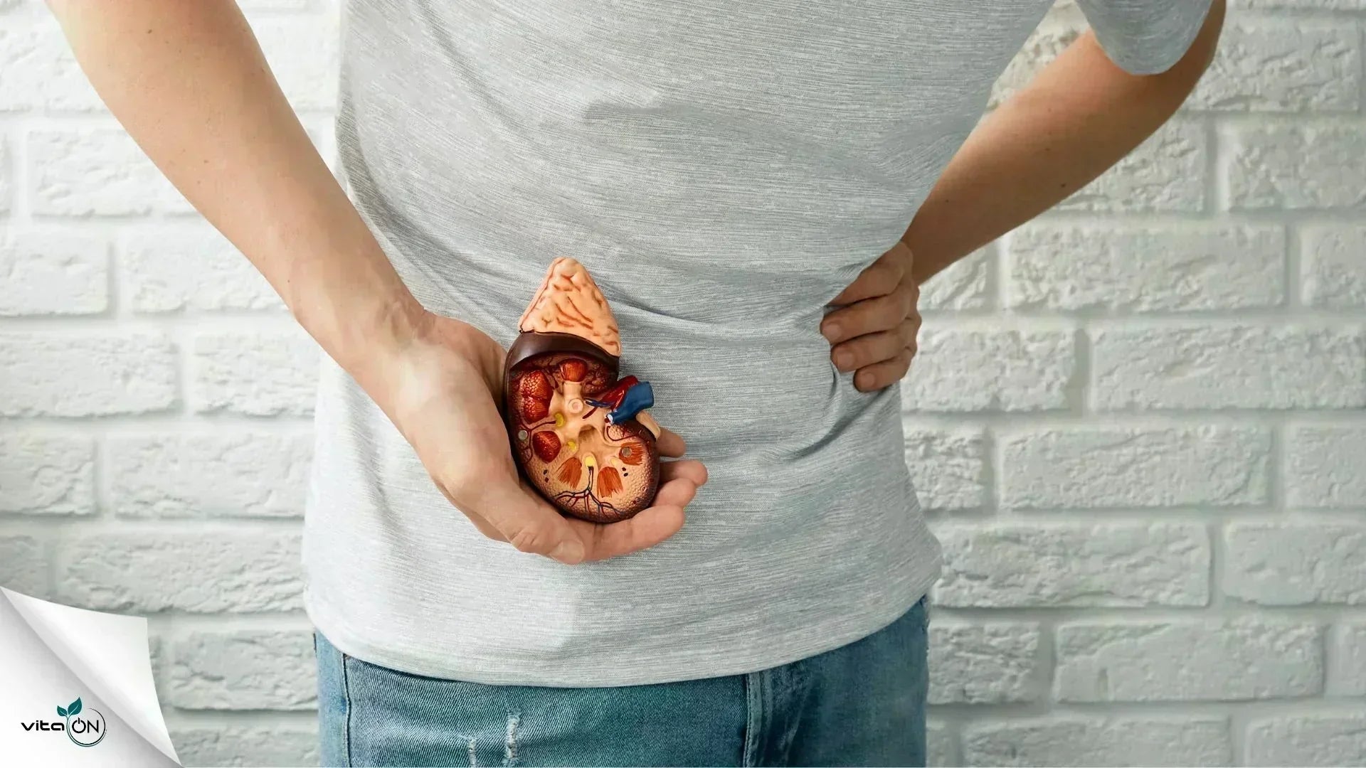 Всичко за бъбречната недостатъчност: симптоми, диагностика и лечение