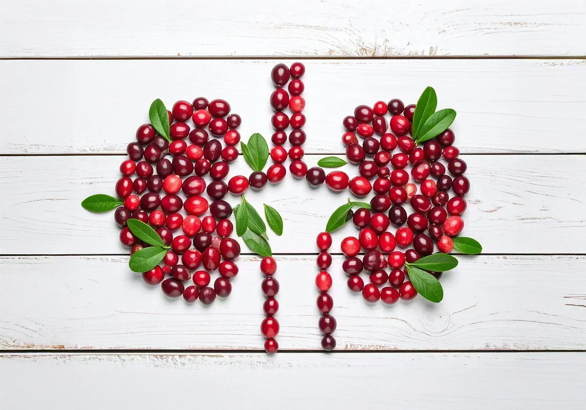 Червена боровинка за бъбреци